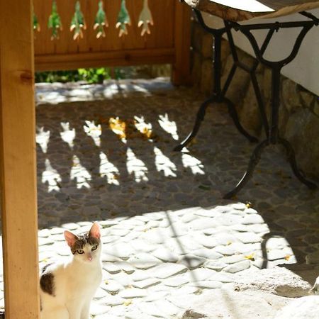 Casa De Oaspeti Adorabila Aproape De Natura Sarata-Monteoru Luaran gambar