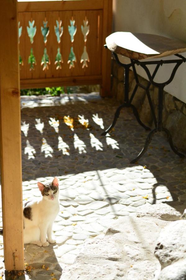 Casa De Oaspeti Adorabila Aproape De Natura Sarata-Monteoru Luaran gambar